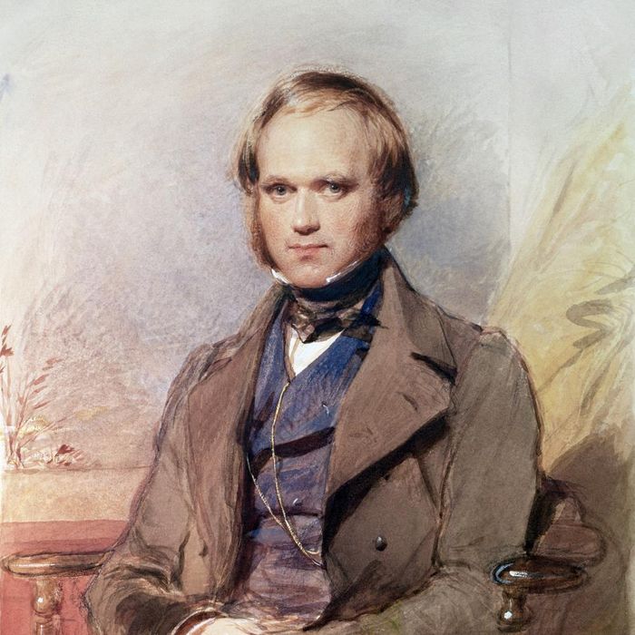 Charles Darwin ketika muda. Lukisan karya George Richmond, 1840.