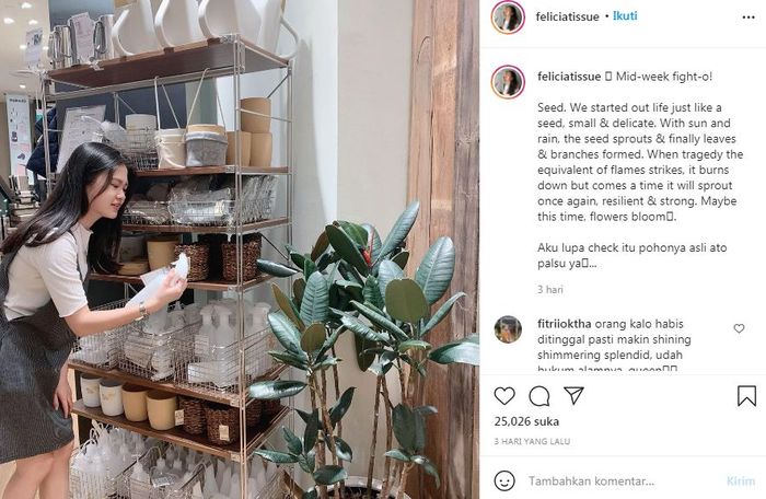 Felicia Tissue menceritakan bagaimana benih berproses hingga menjadi sebuah pohon atau bunga yang mekar. 