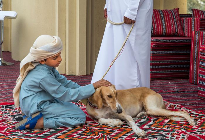 Anjing di Arab.