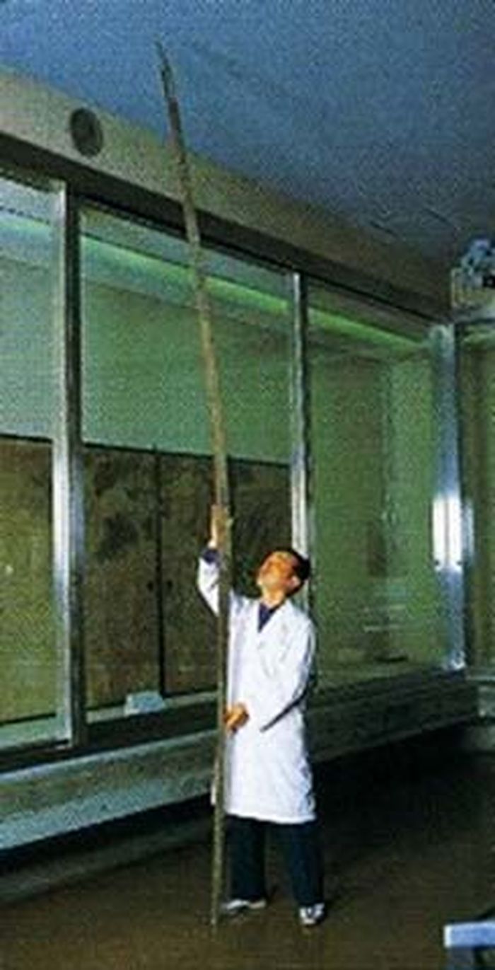 Norimitsu Odachi