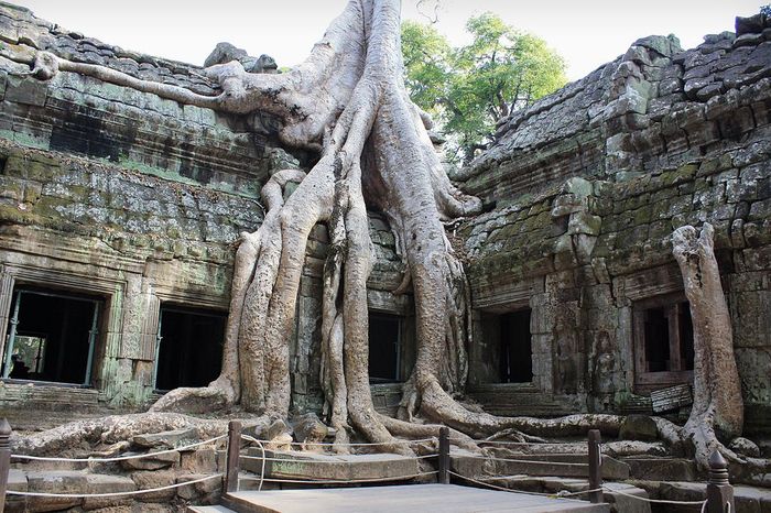 Ta Prohm adalah candi di kompleks Angkor yang dibangun pada akhir abad ke-12 oleh Raja Jayawarman VII. Akar pohon besar sekarang menutupi sebagian besar kuil hutan yang menakjubkan ini..