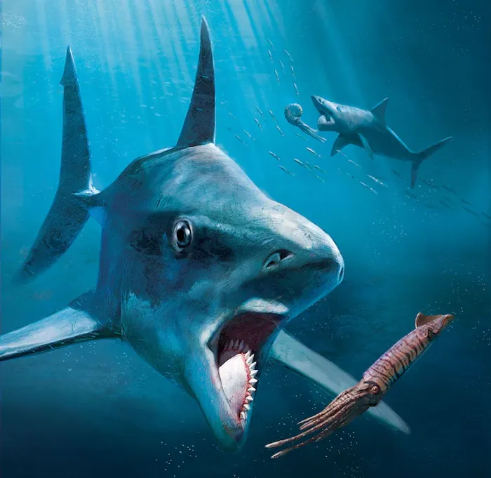 Hiu helicoprion, genus ikan eugeneodont yang mirip hiu yang sudah punah. Hampir semua spesimen fosil terdiri dari kumpulan gigi individu yang tersusun secara spiral, yang disebut 'putaran gigi'. Peristiwa kepunahan massal secara signifikan mengubah lingkungan laut purba, dan hiu-hiu tersebut tidak pernah pulih dari kematian.