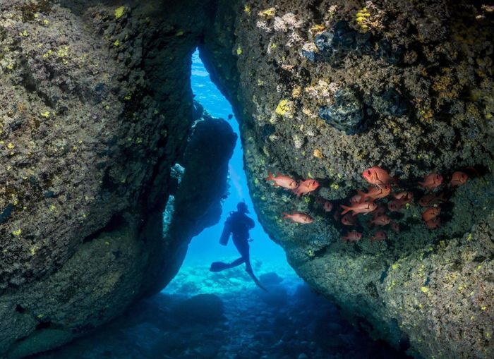 Panorama terumbu karang di dekat pulau Rarotonga. Terdapat 136 spesies terumbu karang yang mendiami dasar laut Kepulauan Cook.