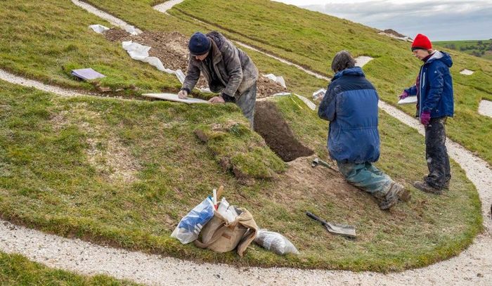 Para peneliti menganalisis sampel pasir yang dikumpulkan dari Cerne Abbas Giant untuk menempatkan ciptaannya antara tahun 700 dan 1100 M (National Trust)