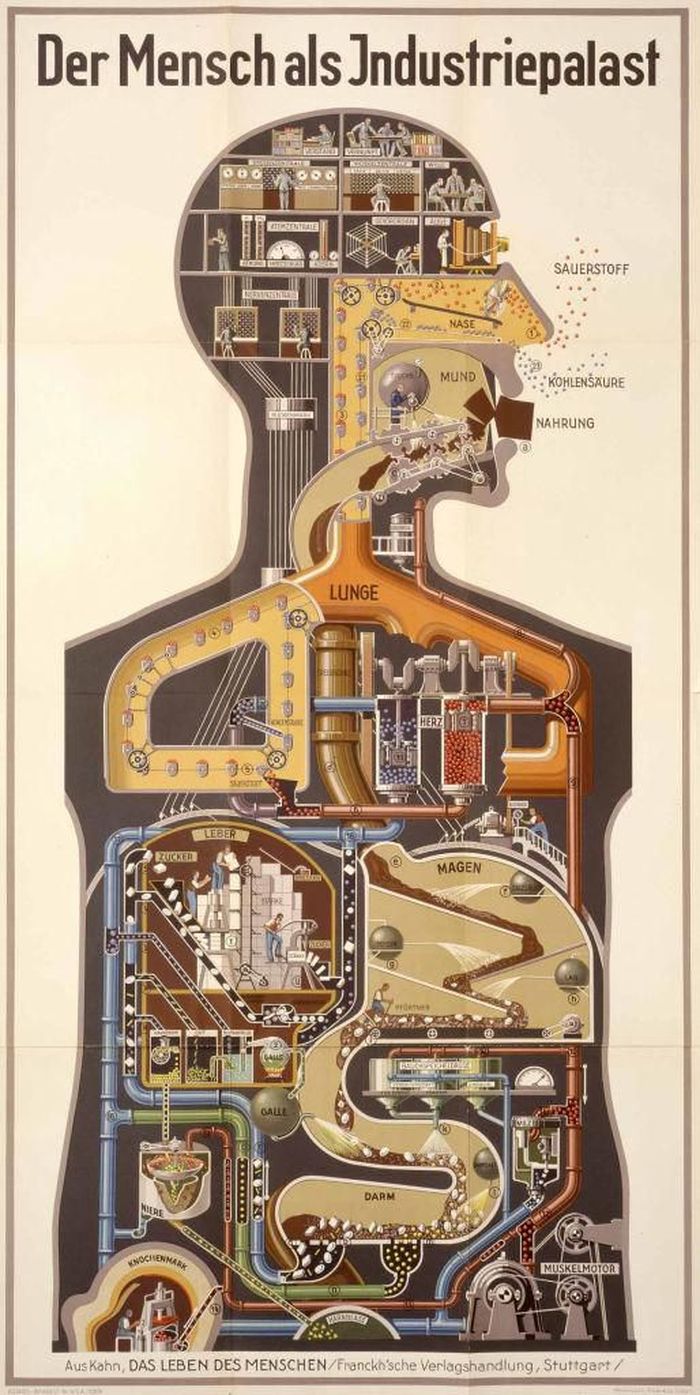 Fritz Kahn Man as Industrial Palace (GETTY IMAGES)