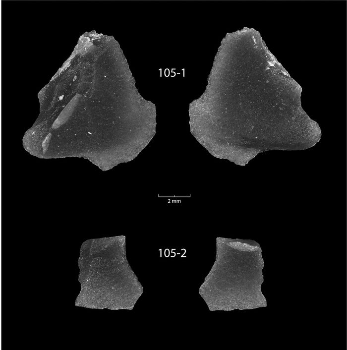 Artefak alat batu itu berusia 9.000 tahun. Alat batu itu berasal dari tambang obsidian yang jaraknya lebih dari 2.000 mil dari lokasi ditemukannya.