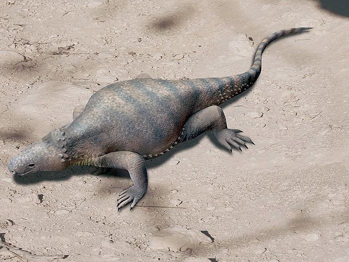 Reka ulang Eunotosaurus africanus berdasarkan temuan arkeologi. Beginilah nenek moyang kura-kura.