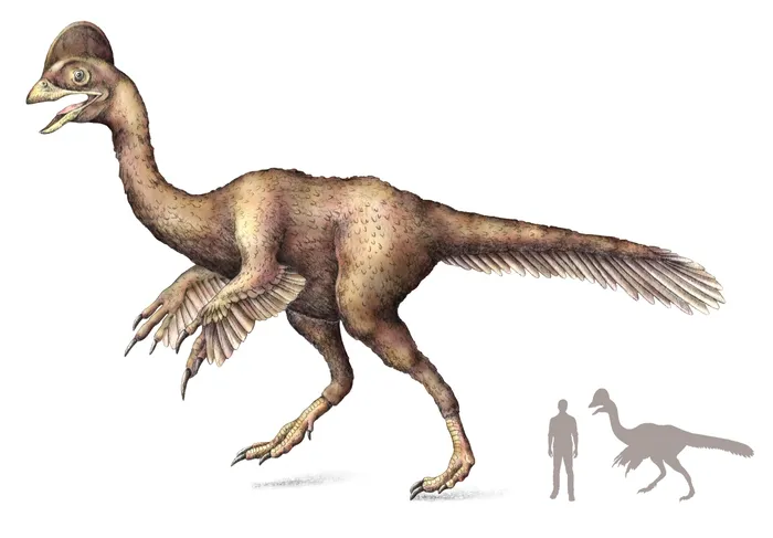 Dinosaurus seberat 500 pon (225 kilogram) mungkin memakan berbagai tumbuh-tumbuhan, hewan kecil, dan telur.