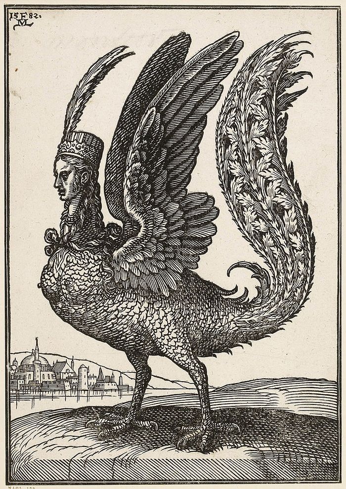 Harpy adalah monster mitos rakus asal Yunani dan Romawi, dengan kepala manusia dan sayap dan cakar burung. Kini, Harpy telah menginspirasi untuk nama elang. Cukil kayu karya Melchior Lorch, 1582.