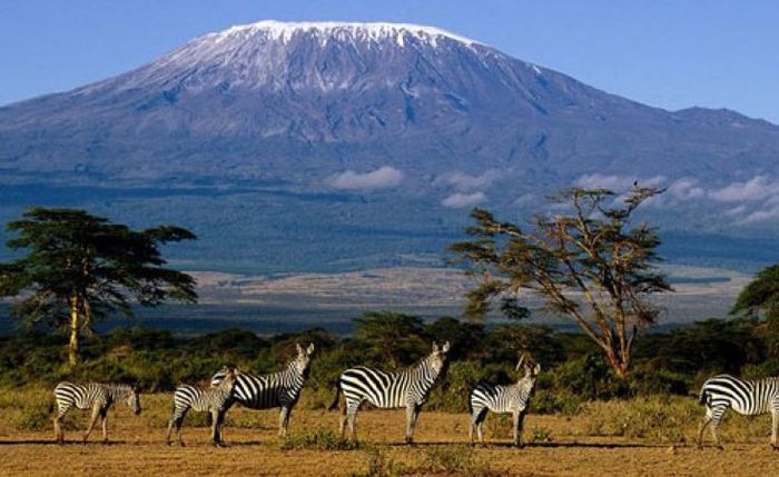 Kilimanjaro National Park. Salju dipuncak Gunung Kilimanjaro, Tanzania, yang kian terdampak memanasnya Bumi.