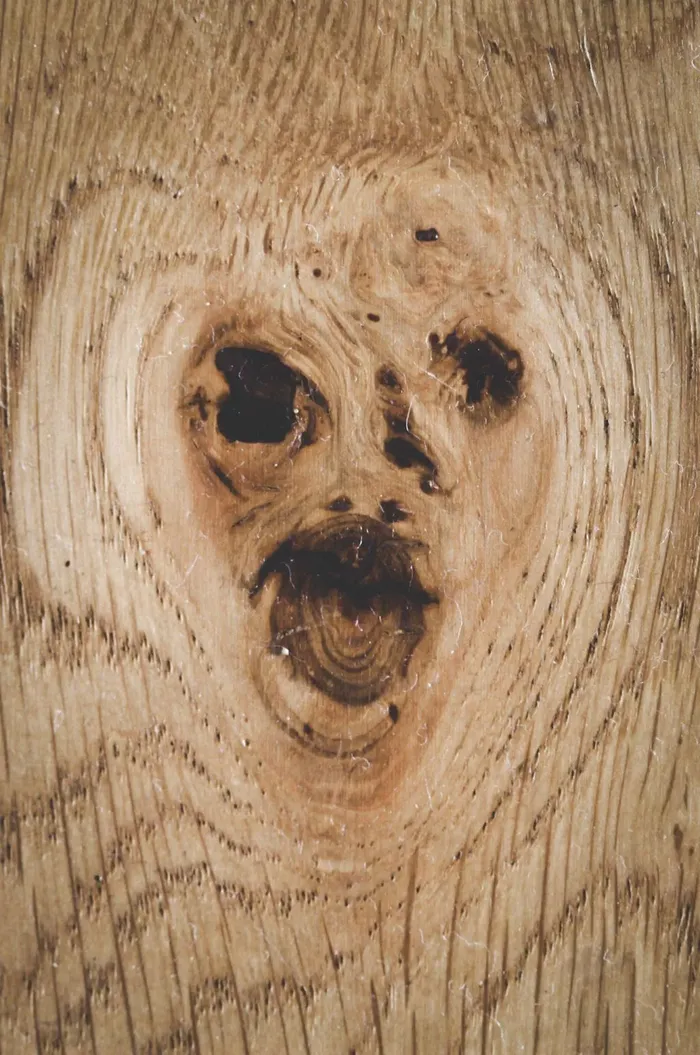 Pareidolia karya Jonas Tana. Pareidolia secara umum bisa diterjemahkan sebagai sebuah fenomena ketika melihat pola dari objek-objek nan acak. Pareidolia menjadi penyebab seseorang melihat atau juga mendengar dari gambaran kabur atau suara kurang jelas, seakan-akan menyerupai sesuatu yang signifikan.