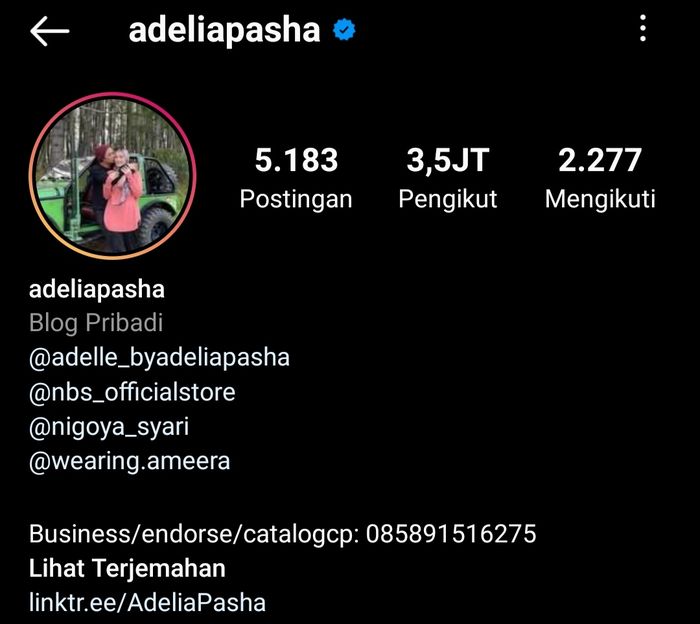 Intip bisnis mentereng Adelia Pasha