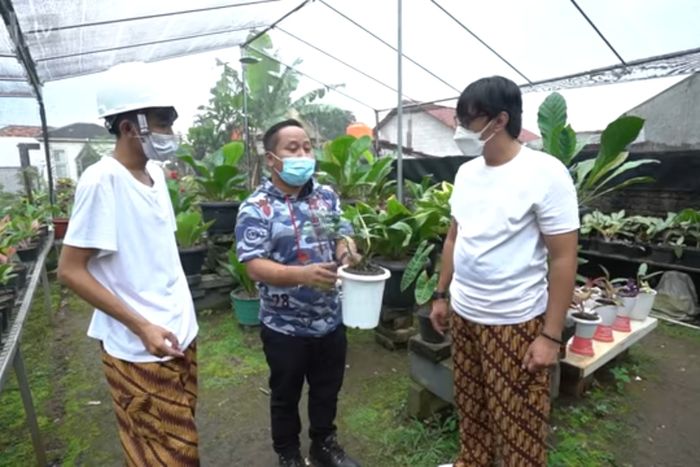 Koleksi tanaman di rumah artis Narji.