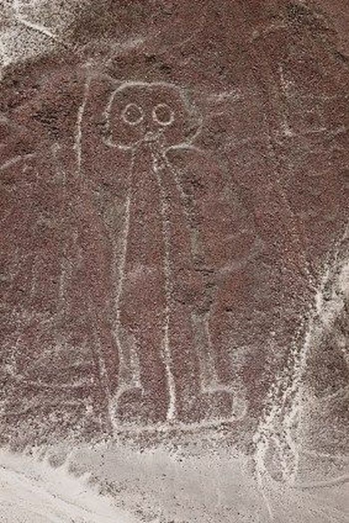 Salah satu Garis raksasa Nazca bergambar monyet . Garis Nazca adalah geoglyph yang sangat besar, aneh dan misterius.