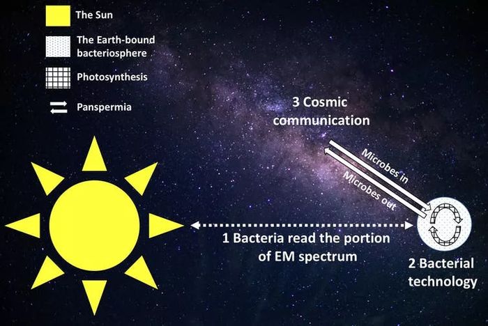 Baik Slijepcevic dan Wickramasinghe percaya bahwa bakteriosfer berpotensi mereplikasi semua langkah yang diketahui dari SETI manusia. (Microbial SETI)