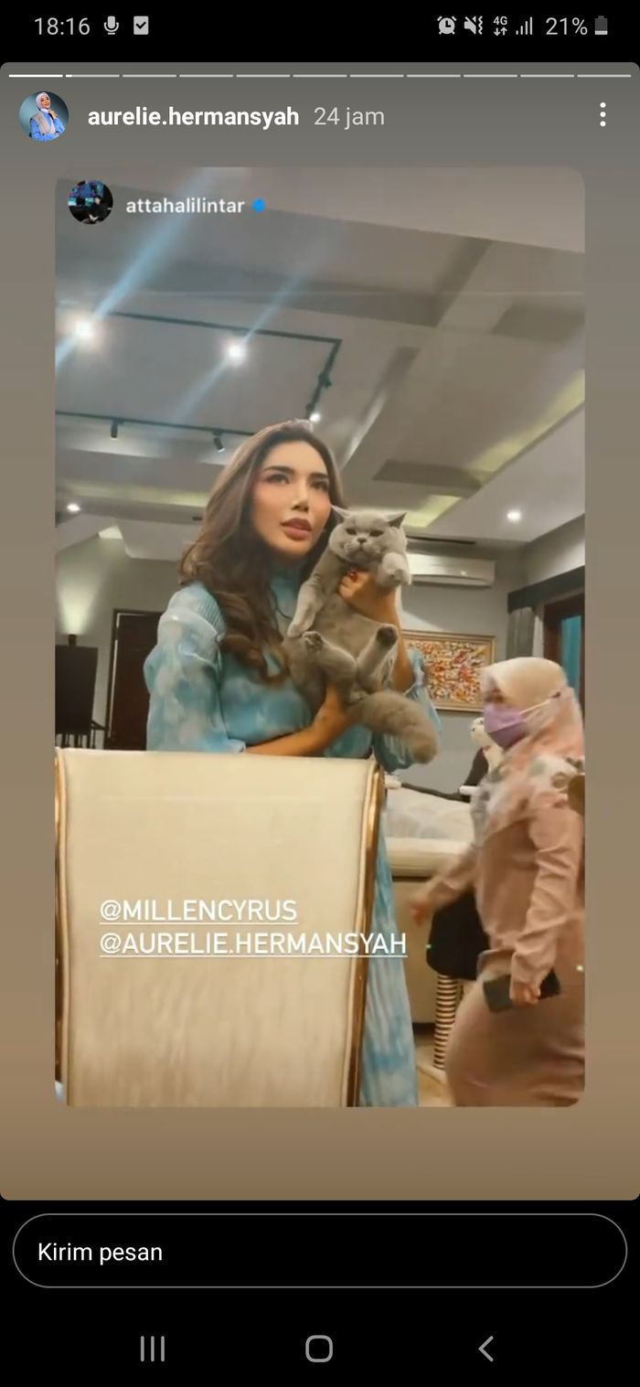 Millen Cyrus ingin menjodohkan kucingnya dengan kucing Atta Halilintar.