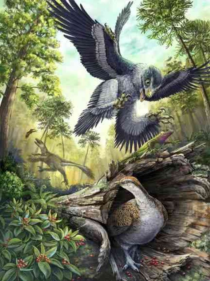 Para ilmuwan meyakini bahwa burung adalah satu-satunya dinosaurus yang tersisa di Bumi