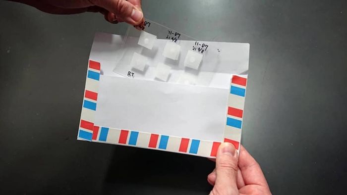 Foto ini menunjukkan bagaimana lembaran sperma dimasukkan ke dalam amplop. Lembaran dan amplop itu diposkan di kotak surat tanpa perlindungan apa pun.
