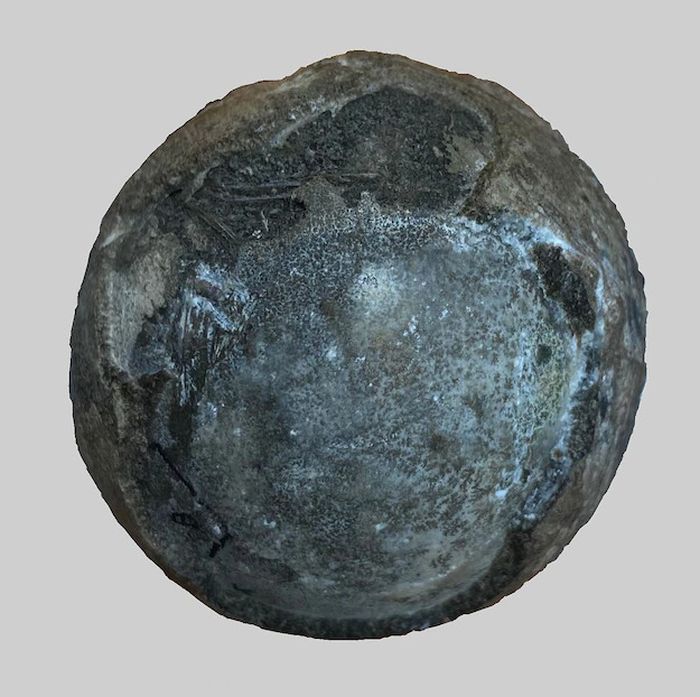 Telur fosil dari periode Cretaceous, berisi embrio kura-kura langka di dalamnya.