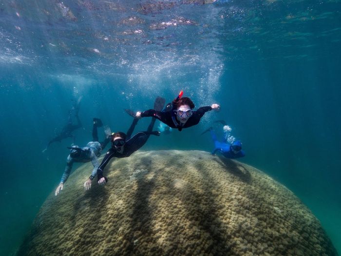 Para perenang yang sedang snorkeling di Great Barrier Reef tak sengaja menemukan Muga dhambi ini.