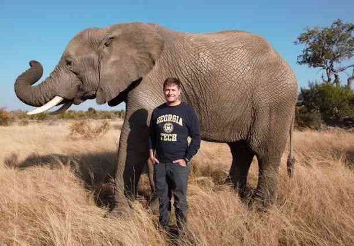 Andrew Schulz bersama dengan gajah di Afrika Selatan.