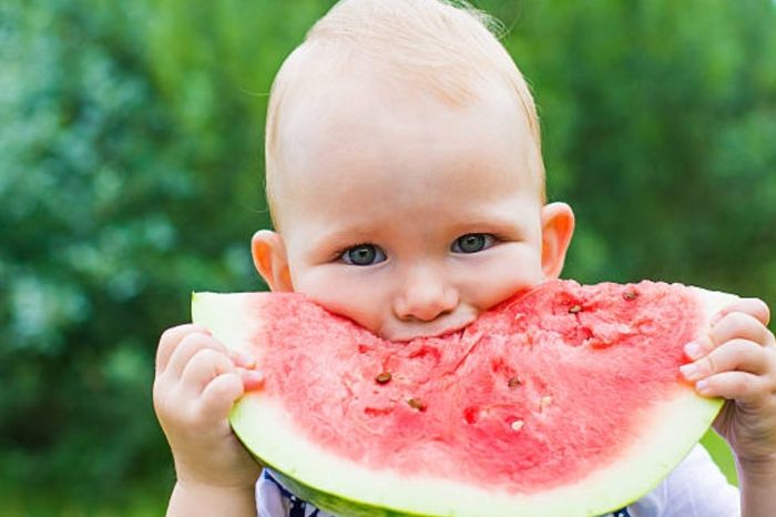 Ilustrasi buah semangka