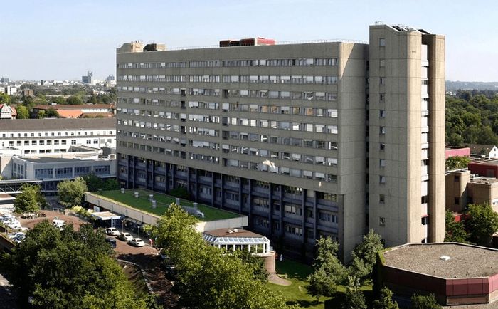 Tim ahli saraf dari University Hospital D&uuml;sseldorf di Jerman telah menumbuhkan sel punca. Dalam eksperimen ini, sel-sel punca tersebut diusahakan untuk tumbuh menjadi gumpalan jaringan otak.