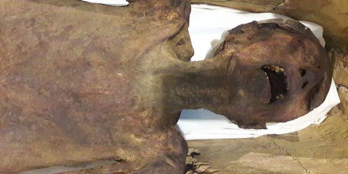 Misteri 'Screaming Mummy' telah lama membingungkan para arkeolog.