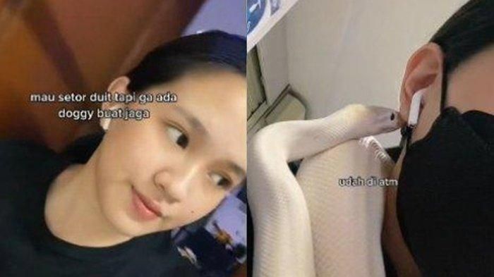 Setor uang ke ATM, wanita ini bawa ular melilit di leher