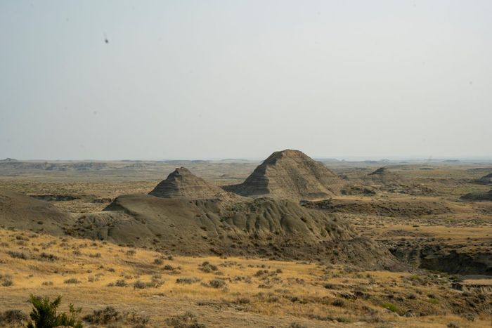 Formasi geologi Hell Creek. 