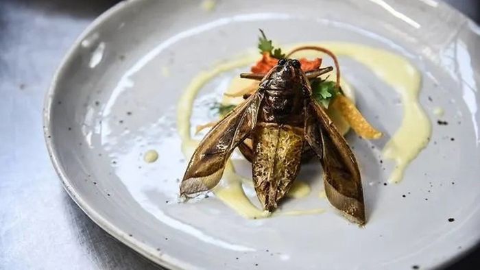 Serangga telah disajikan sebagai kuliner bintang lima di Thailand. Chef Gong dari Insects in the Back Yards tahu bahwa bukan perkara mudah bagi pelanggan yang hendak memasukkan garpu ke serangga di sajian mereka.