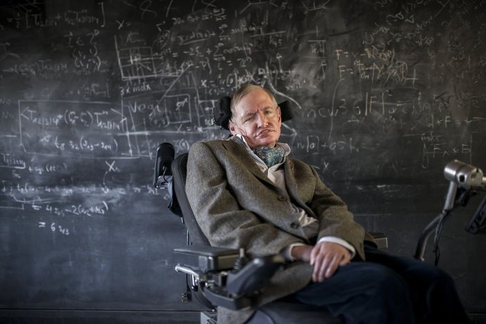 Stephen Hawking berpikir bahwa kita hanya perlu melihat diri kita sendiri, tanpa harus melihat bagaimana kehidupan yang lebih cerdas dari tempat asing lain. 
