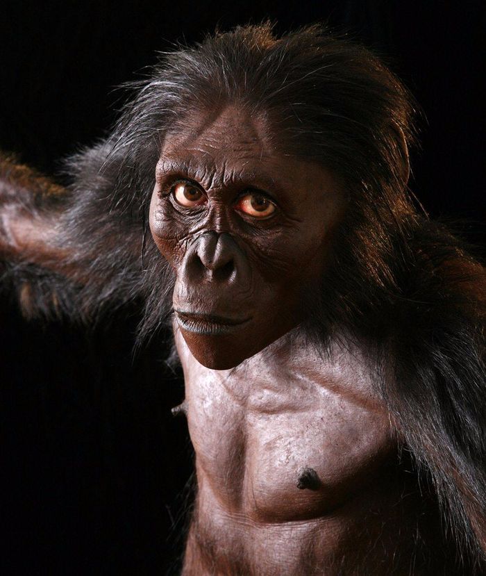 Sebuah tim paleoantropolog internasional, yang dipimpin oleh Profesor Madelaine Böhme dari University of Tübingen, Jerman, telah menganalisis sisa-sisa hominin Graecopithecus freybergi berusia 7,2 juta tahun dan sampai pada kesimpulan bahwa mereka milik pra-manusia. Apakah hominin tertua berasal dari Eropa, bukan Afrika?