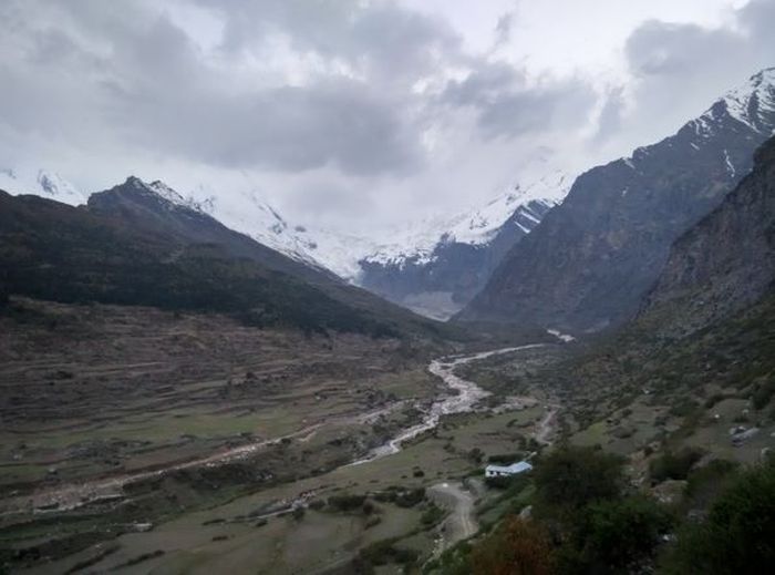 Habitat liar Allium negianum di wilayah Niti Himalaya, India