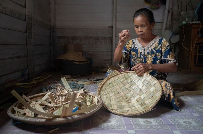 Kasni, 61 tahun,menganyam topi seraung yang dibuat dari daun telingsing. Tanaman ini hanya tumbuh di kawasan gambut. Masyarakat mulai berupaya mendayagunakan kawasan gambut secara berkelanjutan sebagai bagian untuk menyambung hidup.