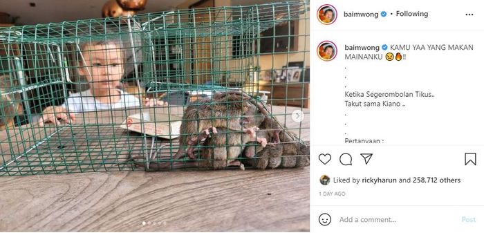 Unggahan Baim Wong yang berhasil menangkap tikus di rumahnya bersama Kiano.
