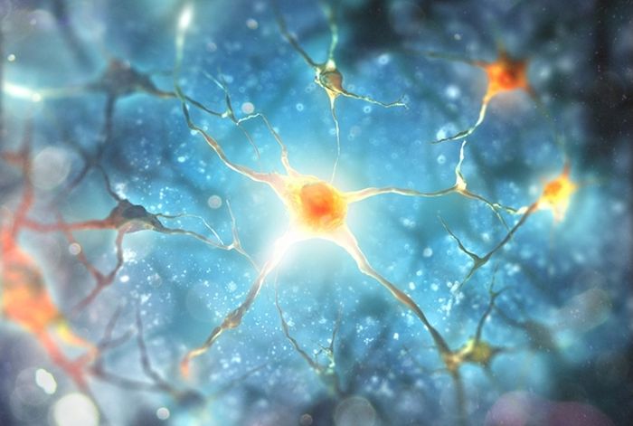 Ilustrasi neuron otak.