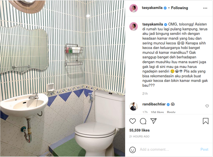 Curhat diserang serangga ini, penampakkan kamar mandi di rumah artis Tasya Kamila yang miliki kesan unik dengan motif ini.