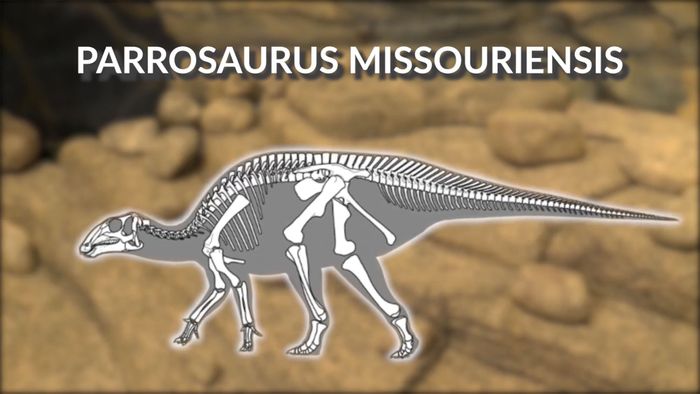 Ilustrasi Parrosaurus missouriensis.
