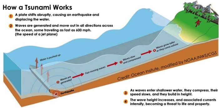 Grafik yang menunjukkan cara kerja tsunami.