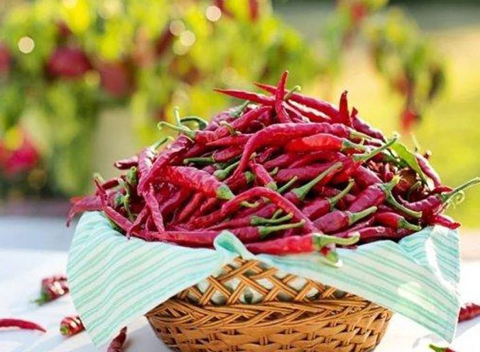 Cara simpan cabai agar awet berbulan-bulan.