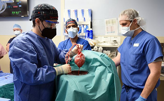 Tim dokter saat melakukan prosedur operasi.