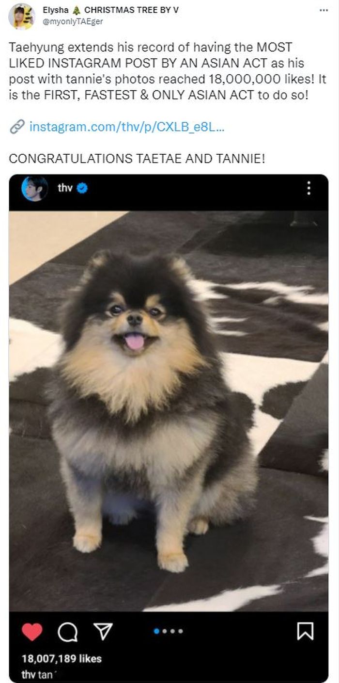 Potret anjing peliharaan V menjadi unggahan dengan likes terbanyak yang mencapai 18 juta 