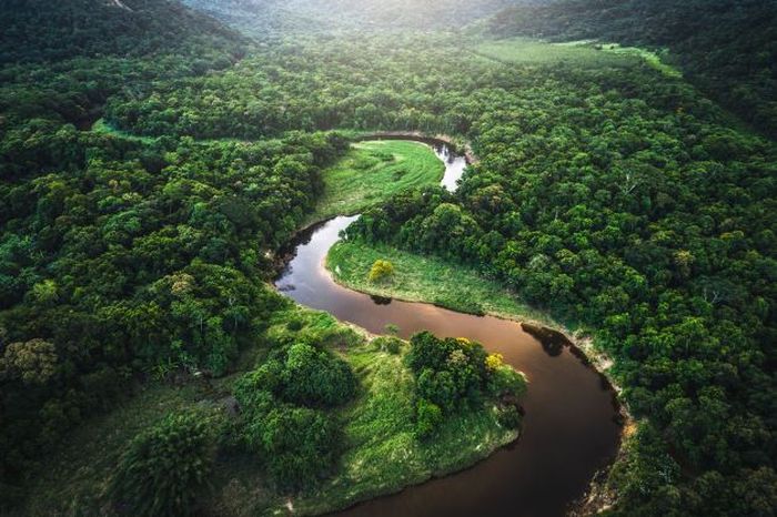Sungai Amazon di wilayah hutan hujan tropis Amazon.