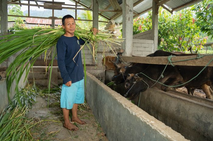Beberapa orang mungkin berpendapat bahwa meninggalkan peternakan sapi merupakan cara terbaik untuk mengatasi krisis iklim. Tetapi, itu bukan solusi yang masuk akal