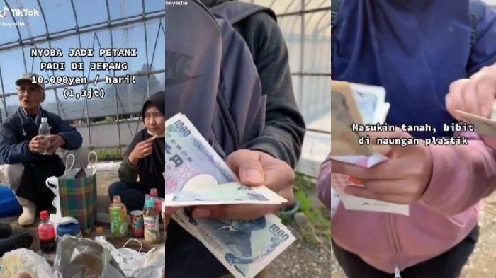 Viral cerita mahasiswi Indonesia kerja paruh waktu jadi petani padi di Jepang, digaji Rp 1,3 juta sehari.