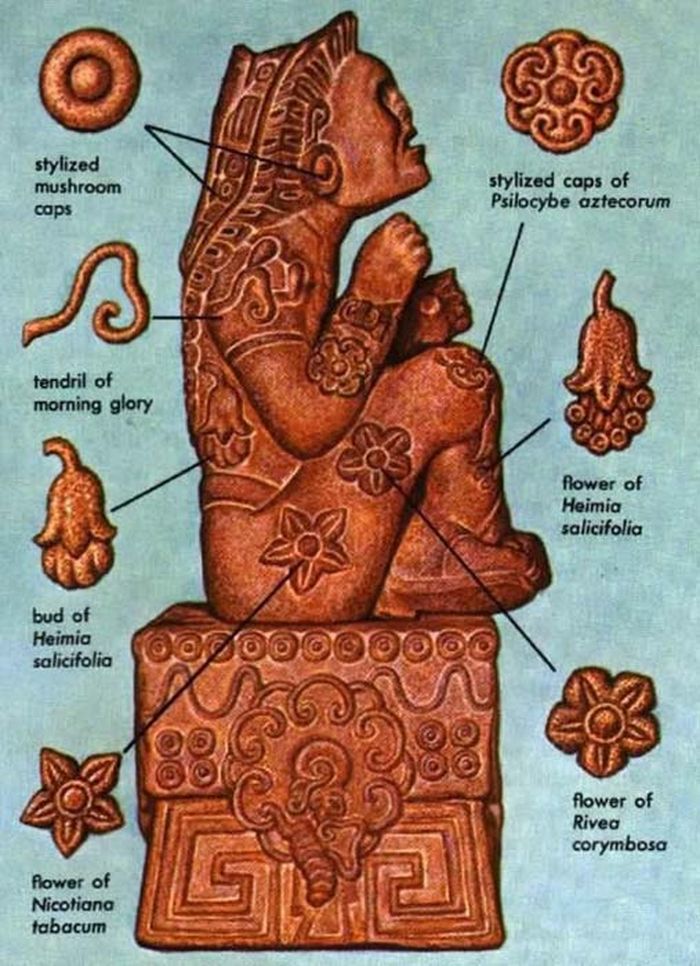 Xochipilli, dewa bunga suku Aztec, dari buku Hallucinogenic Plants oleh Richard Evans Schultes, dengan motif jamur Teotlnanáctl di lutut dan telinganya.