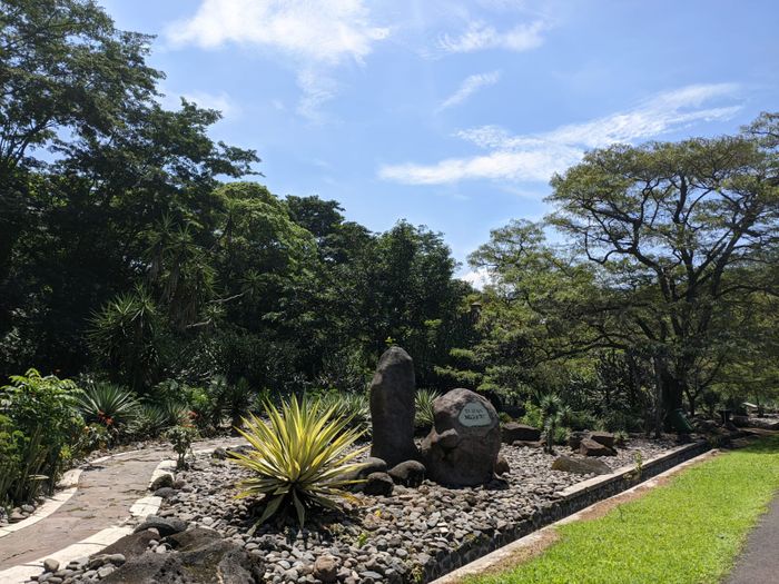 Taman Meksiko Kebun Raya Purwodadi 