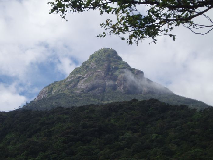 Sarandib, atau Srilangka kini, memiliki tiga situs penting bagi umat Buddha, Hindu, dan Islam di Puncak Adam. Bagaimana para diaspora mengingat negeri asal mereka?