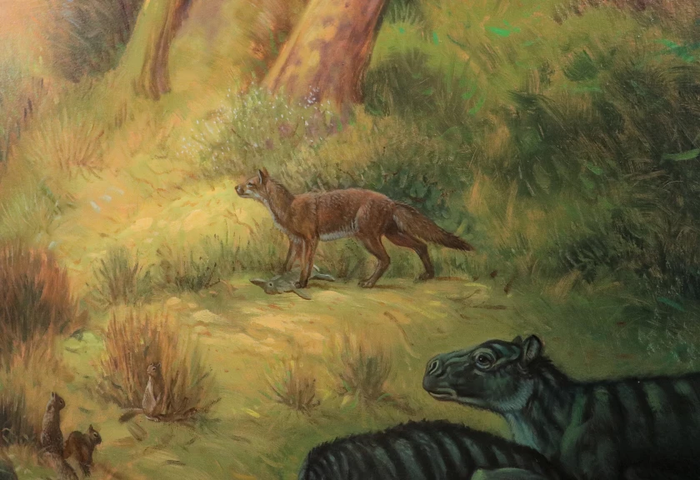 Ilustrasi Archeocyon di San Diego Natural History Museum.